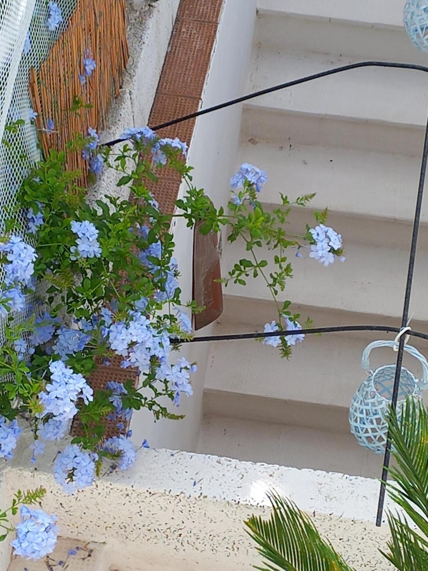 Vacanza Nel Salento1 Matino Εξωτερικό φωτογραφία